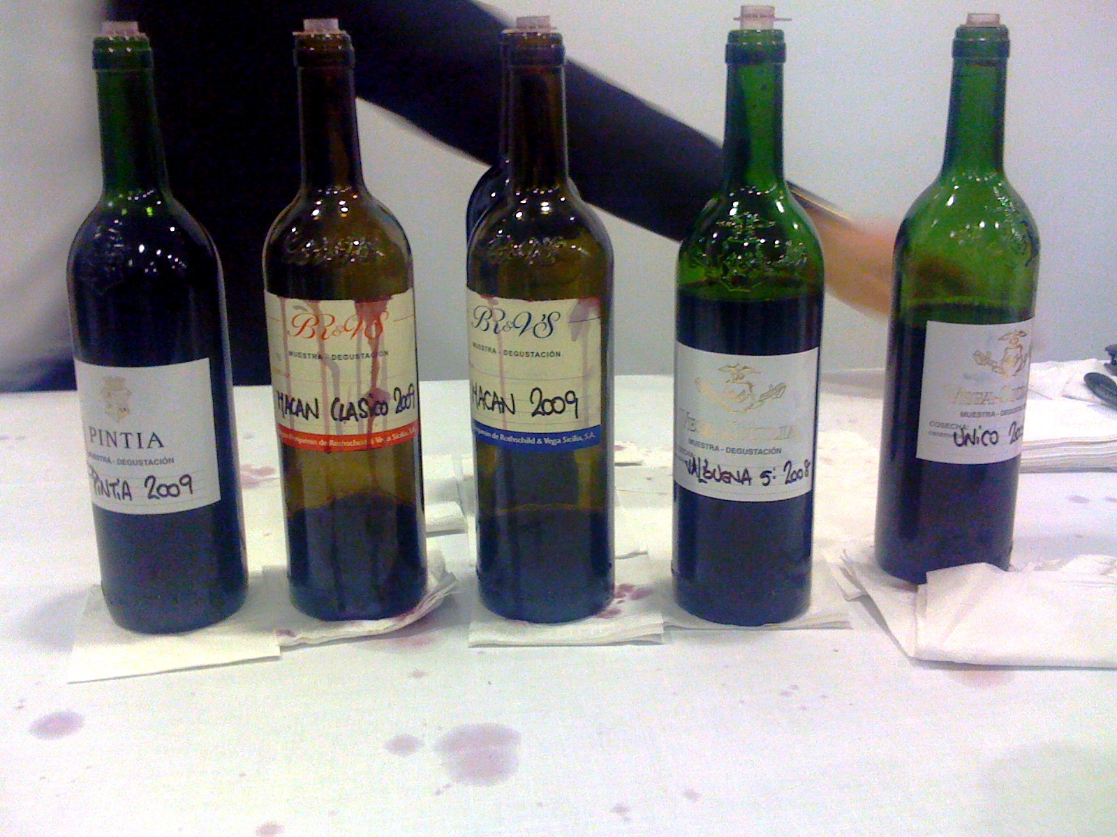 salon_peñin_mejores_vinos_vega_sicilia_rotschild